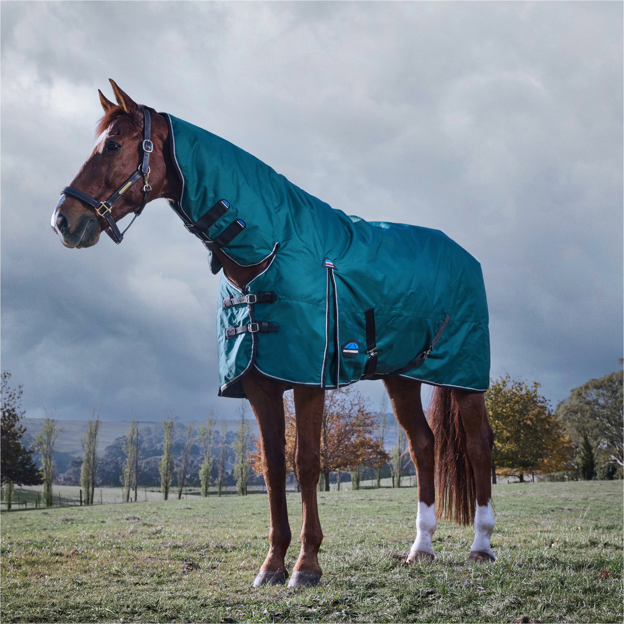 2025 WeatherBeeta Comfitec Classic Turnout Combo 1029069 - Forest Green
